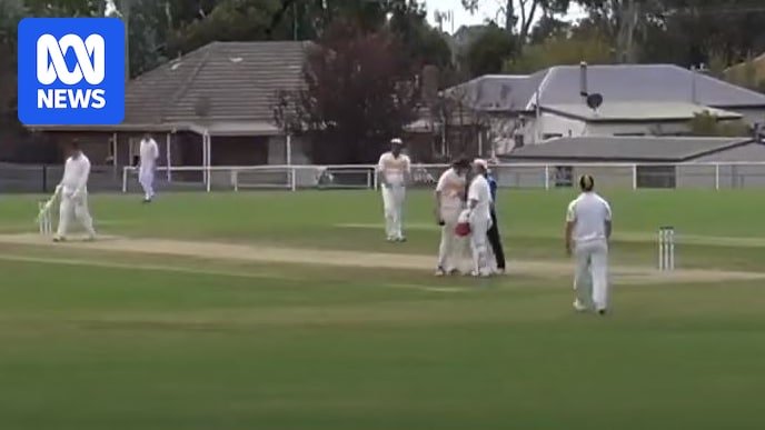 Headbutty, Live Streamed punches on YouTube during the local cricket party in Victoria