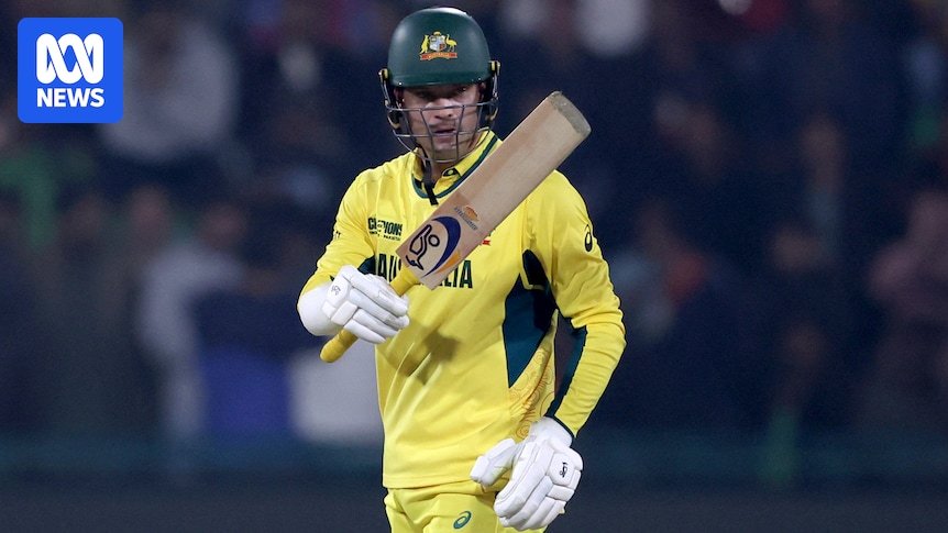 Confidence confidence after beating England to Champions Trophy, Alex Carey says