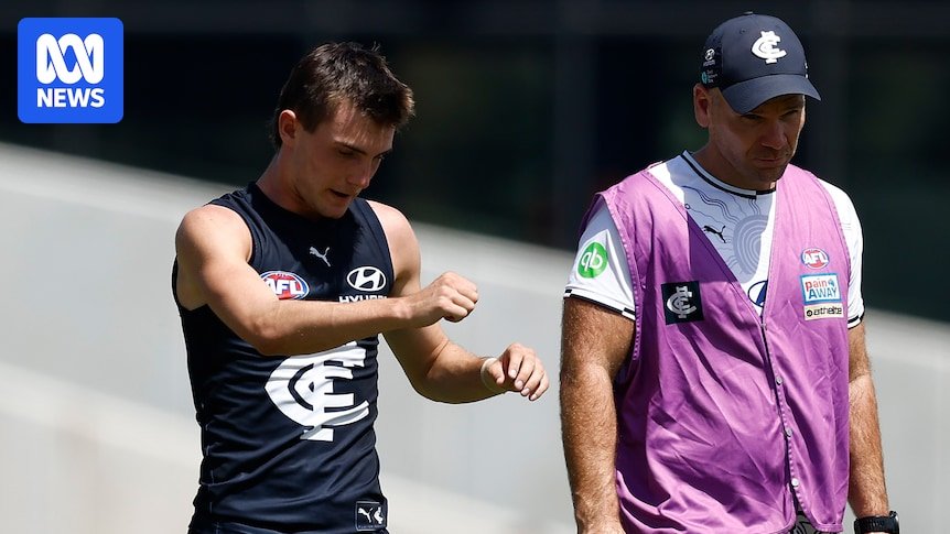 The ACL has discard Jaggal Smith's ACL from scans before the AFL season of 2025 AFL of Carlton
