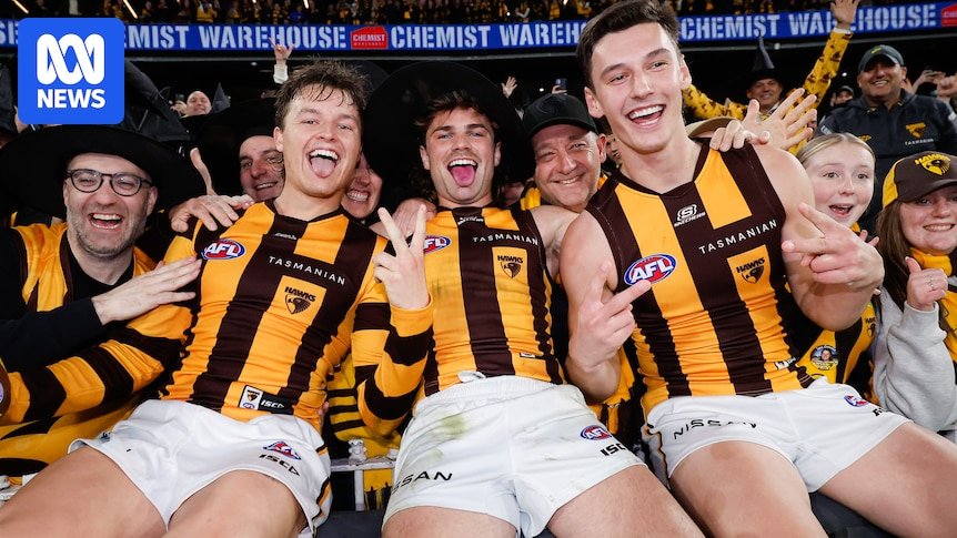 Hawthorn enters 2025 AFL seasoned and a bit hated, but ready to take the world