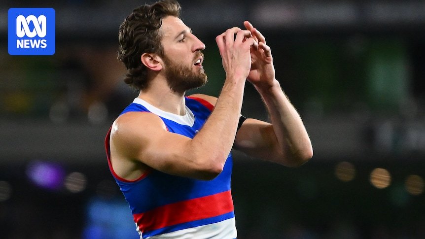 The Pulldog The Western Marcus Marcus Bontempells at Miss Start of AFL season with CALF injury