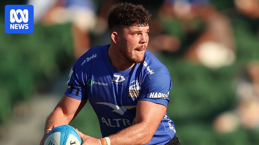 Wallabies Contenters Gire Reclams in Super Rugby Pacified to Face Lion Lion Elers