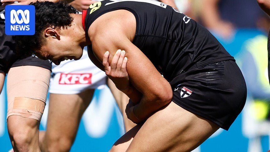 The Holy Send Mitch Owens receives positive scan news in front of the AFL season