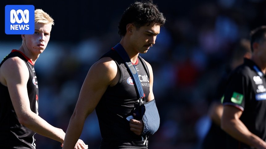Saints lose mitch owens to hurt, swans star errol gulden to have ankle surgery