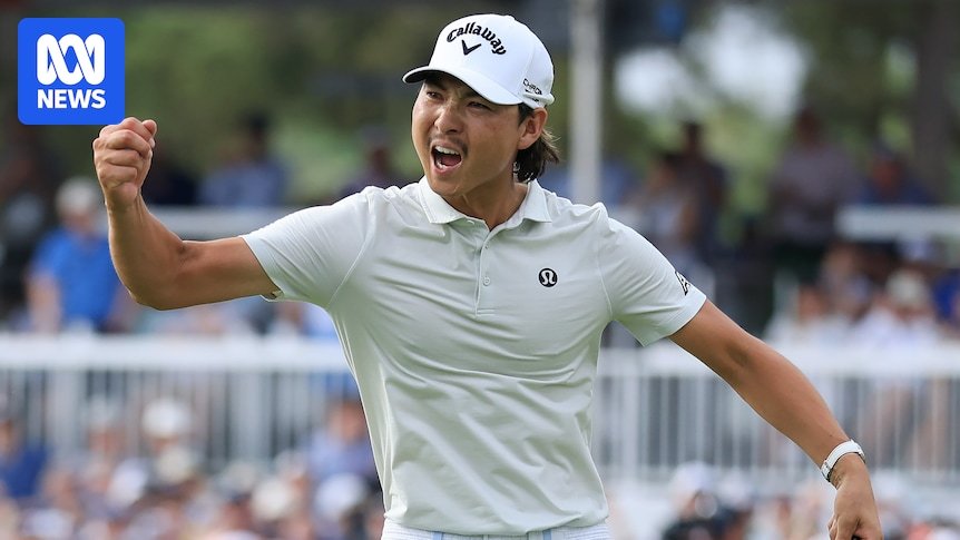Min Woo Lee pleased to crawl funny social media with results after you become winning pg in Houston Open