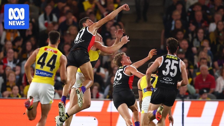 Richmond Send Ryan Hessell found guilty of hard conduct to the AFL court