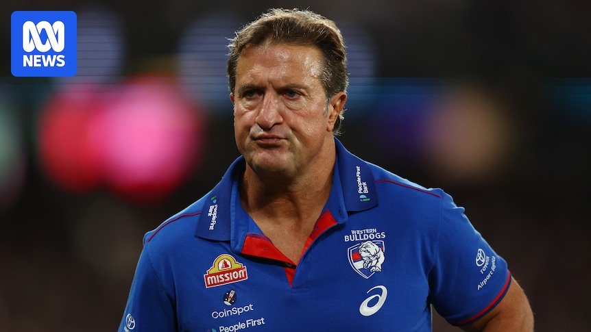 Western Bulldog Luke Beveridise downloading on AMID 'Total' Total 'total'