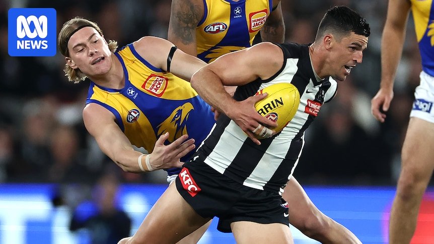 With Colingwood about the older team field in the foot of the foot, a trend of the AFL AFL's gaming is to take
