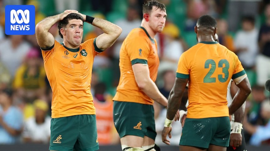 WALLABES do not abit on the loss of the World Cubi's loss of the British and Irish Series