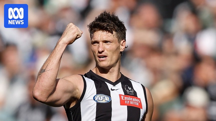 The Player Player Collingwood Brodye MohoCeo reflect on the long road to the AFL in front of the wires