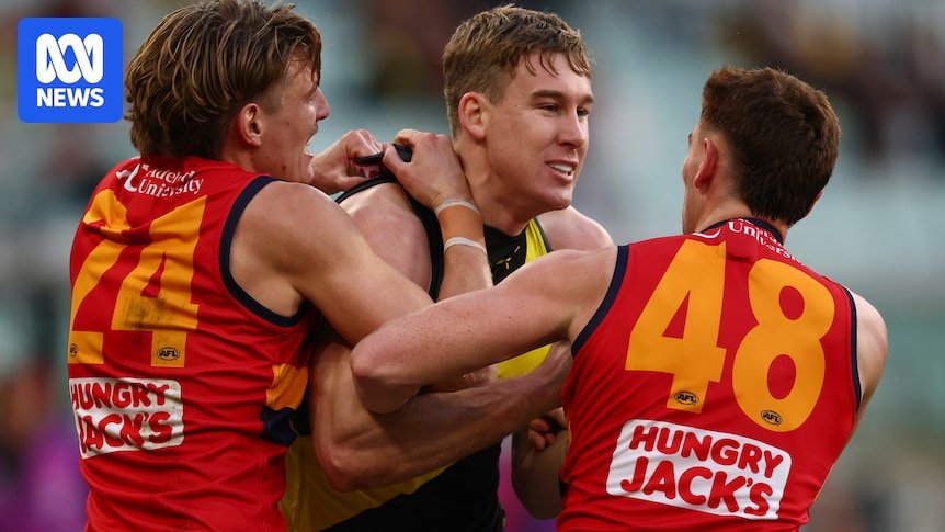 Tom lynch faced the afl suspension after the bath of the gorgeous