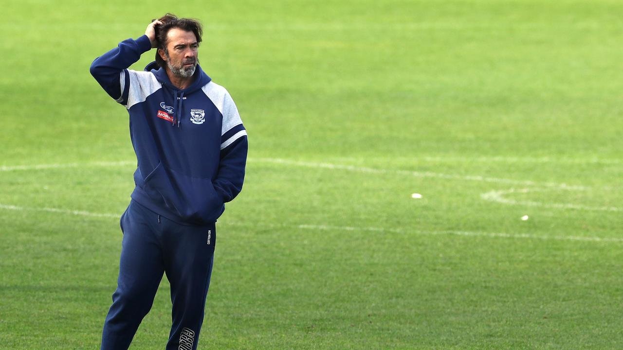 'There was no panic': Within Scott ... and Surprise Acting act of the crushed cats