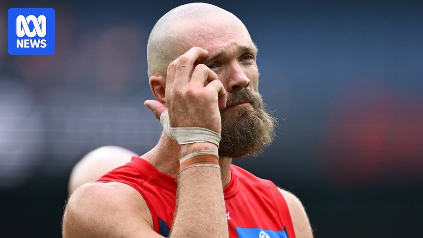 AFL Round 12 Demons vs Saints, Eagles vs. Live Gutters - Blog, Scores and Stats