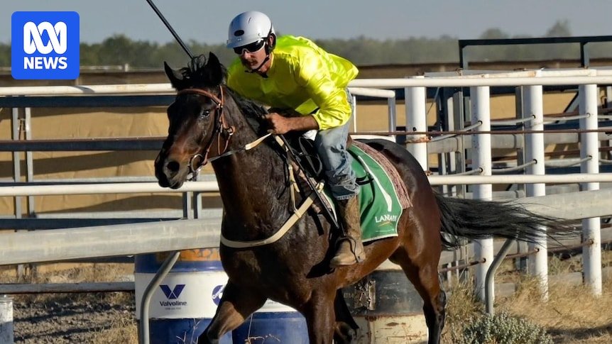 'Palky's Palky's raffle rules raffle rules of historic wins bends gold mild to brown