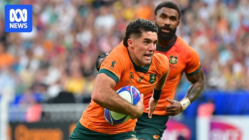 British and Irish lions say the Australia Rugby will be acquires the inbalabies Stars' agreement for tour games